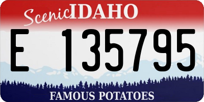 ID license plate E135795