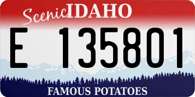ID license plate E135801