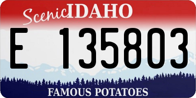 ID license plate E135803