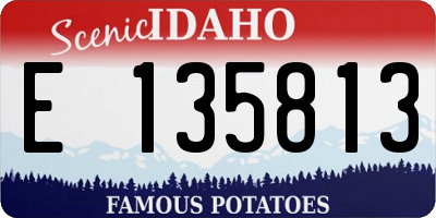 ID license plate E135813