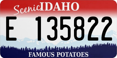 ID license plate E135822