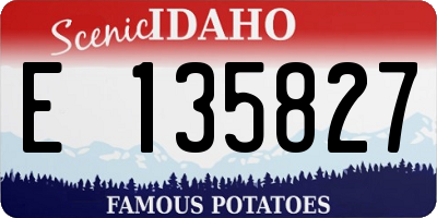 ID license plate E135827