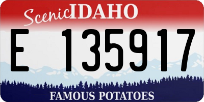 ID license plate E135917