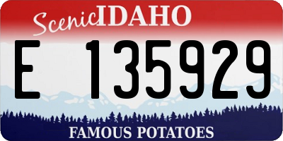 ID license plate E135929