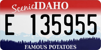 ID license plate E135955