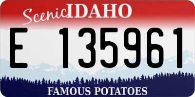 ID license plate E135961