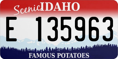ID license plate E135963