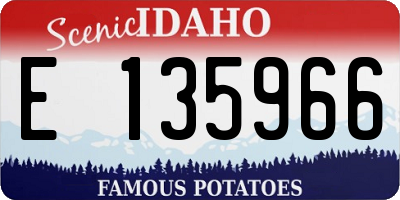 ID license plate E135966