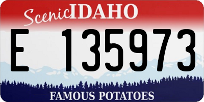 ID license plate E135973