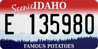 ID license plate E135980