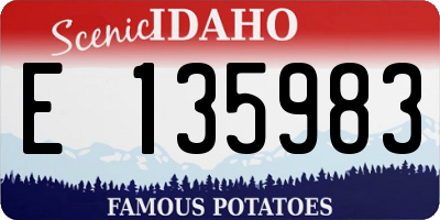 ID license plate E135983