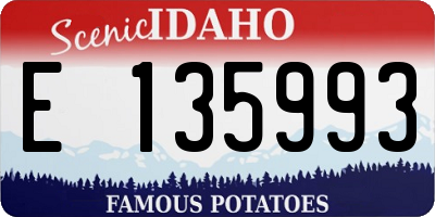 ID license plate E135993