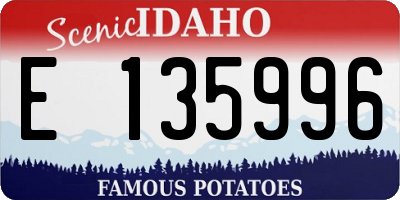 ID license plate E135996