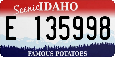 ID license plate E135998