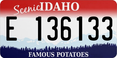 ID license plate E136133