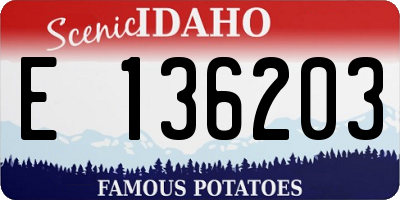 ID license plate E136203