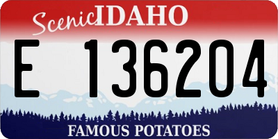 ID license plate E136204