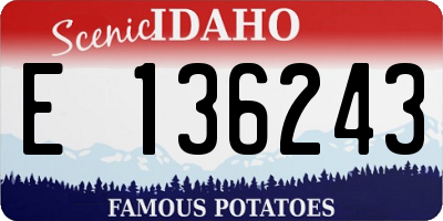 ID license plate E136243