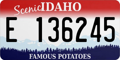 ID license plate E136245