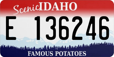 ID license plate E136246