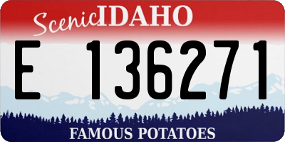 ID license plate E136271