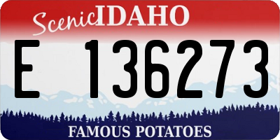 ID license plate E136273