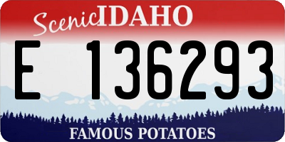 ID license plate E136293
