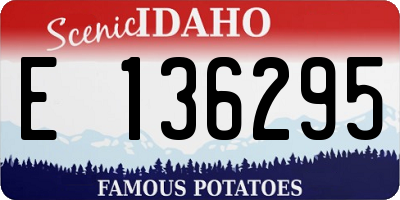 ID license plate E136295