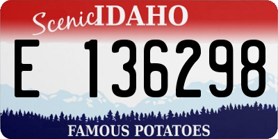 ID license plate E136298