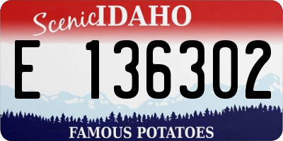 ID license plate E136302