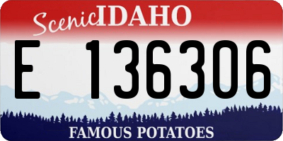 ID license plate E136306