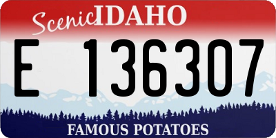 ID license plate E136307