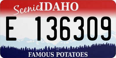 ID license plate E136309