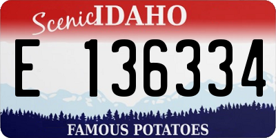 ID license plate E136334