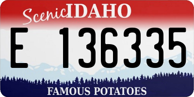 ID license plate E136335