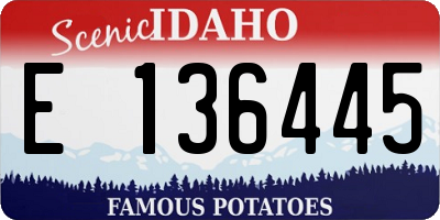 ID license plate E136445