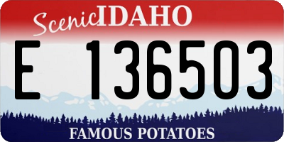 ID license plate E136503