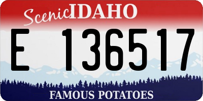 ID license plate E136517