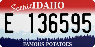 ID license plate E136595