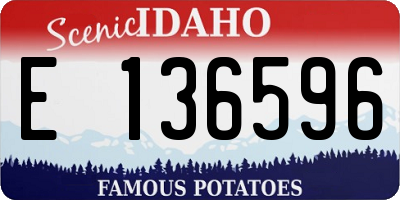 ID license plate E136596
