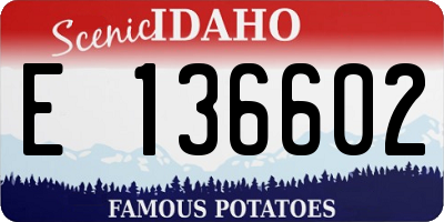 ID license plate E136602