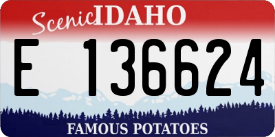 ID license plate E136624