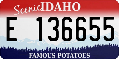 ID license plate E136655