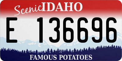 ID license plate E136696