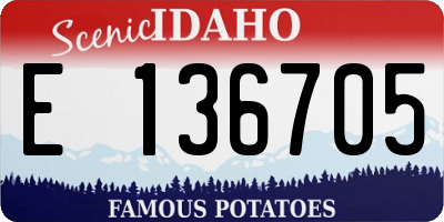 ID license plate E136705