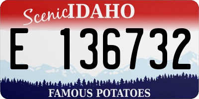 ID license plate E136732