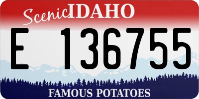 ID license plate E136755