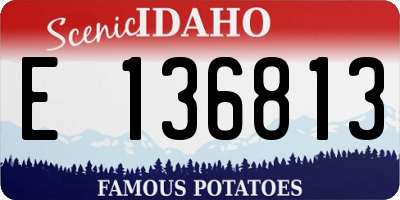 ID license plate E136813