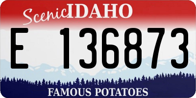 ID license plate E136873