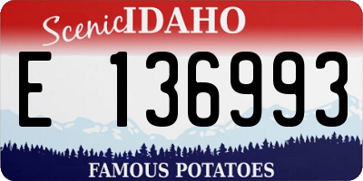 ID license plate E136993